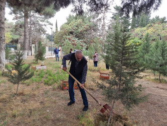 Nəsimi rayonunda idarə, müəssisə və təşkilatların iştirakı ilə iməcilik keçirilib