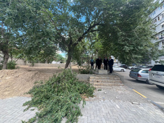 Nəsimi rayonu Ceyhun Səlimov küçəsi 7 saylı ünvanda abadlıq-quruculuq işləri davam edir.