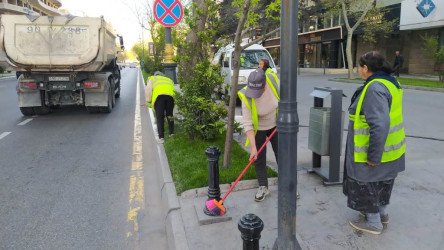 Nəsimi rayonunda növbəti iməcilik keçirildi.