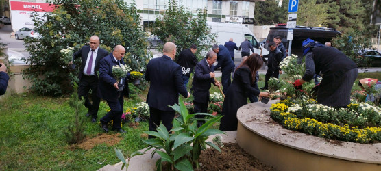 Nəsimi rayonunda “Yaşıl dünya naminə həmrəylik ili” çərçivəsində növbəti tədbir keçirilib.