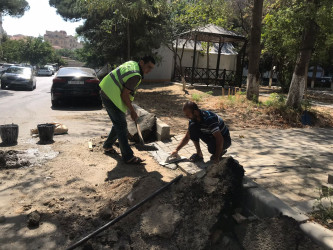 Nəsimi rayonunda cari təmir işləri davam edir