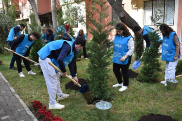 İDEA İctimai Birliyi paytaxtın Nəsimi rayonunda yeni  “Bizim Həyət”in açılışını edib