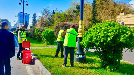 Nəsimi rayonunda növbəti ümumrayon iməciliyi keçirilib.