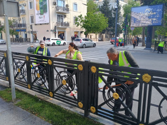 Nəsimi rayonunda növbəti iməcilik keçirilib