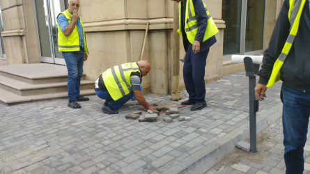 Nəsimi rayonunda abadlıq və yaşıllaşdırma işləri davam etdirilir.