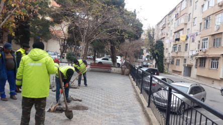 Nəsimi rayonu Asif Məhərrəmov küçəsi 60 saylı ünvanda abadlıq quruculuq işləri yekunlaşmaq üzrədir.