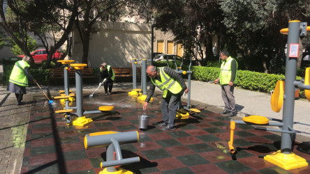 Nəsimi rayonunda növbəti ümumrayon iməciliyi keçirilib.