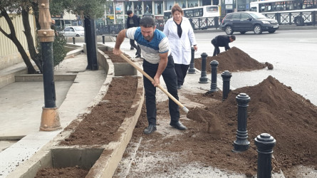 Nəsimi rayonunda abadlıq və yaşıllaşdırma işləri davam etdirilir.