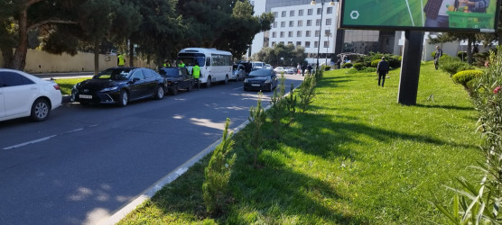 Nəsimi rayonunda “Yaşıl dünya naminə həmrəylik ili” çərçivəsində  növbəti tədbir keçirilib.