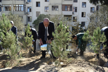 Nəsimi rayonunda 27 sentyabr-Anım günü  münasibətilə ağacəkmə aksiyası keçirilib.