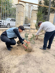 Nəsimi rayonunda idarə, müəssisə və təşkilatların iştirakı ilə iməcilik keçirilib