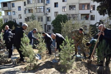 Nəsimi rayonunda 27 sentyabr-Anım günü  münasibətilə ağacəkmə aksiyası keçirilib.