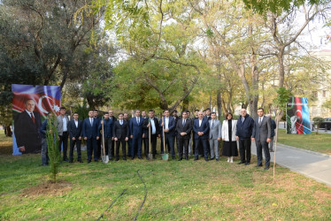 Nəsimi rayonunda Zəfər Günü münasibəti ilə ağacəkmə aksiyası keçirilib.