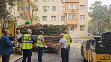 Nəsimi rayonunda növbəti iməcilik keçirilib