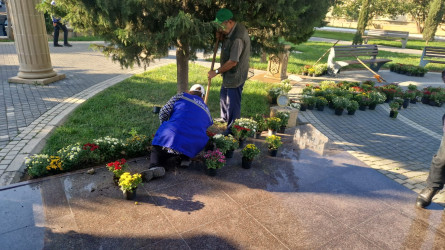 Nəsimi rayonunda yerləşən Zəfər bağında başlanılmış təmir işləri yekunlaşmışdır.