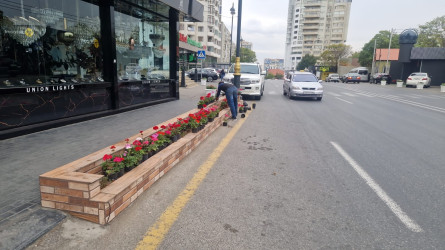 Rayon ərazisində  mərkəzi  küçə və prospektlərdə  qeyri-yaşayış obyektlərinin qarşısında gül dibçəkləri qoyulmuşdur.