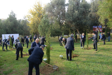 Nəsimi rayonunda Zəfər Günü münasibəti ilə ağacəkmə aksiyası keçirilib.