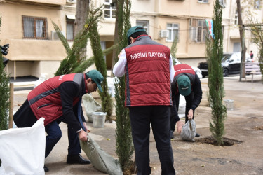 Nəsimi rayonu Asif Məhərrəmov 60 ünvanında növbəti “Abad həyət” sakinlərin istifadəsinə verilib.