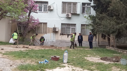 Nəsimi rayonu Cavadxan 28,32 saylı ünvanlarda abadlıq-quruculuq yenidənqurma işləri davam edir.