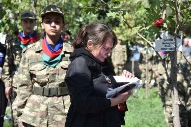 Nəsimi rayonunda 27 Sentyabr - Anım günü münasibətilə  rayon ərazisində yerləşən “Zəfər bağı”nda tədbir keçirilib.