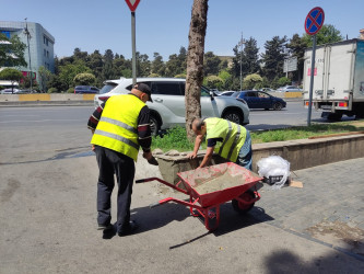 Nəsimi rayonu ərazisində piyada səkilərində təmir-bərpa işləri aparılıb.