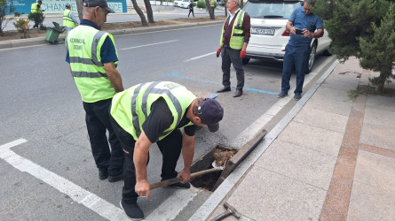 Nəsimi rayonunda növbəti iməcilik keçirilib
