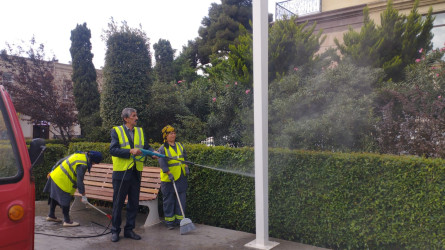 Nəsimi rayonunda növbəti iməcilik keçirilib