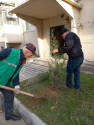 Rayon ərazisində yaşıllaşdırma işləri aparılıb.