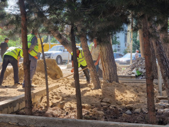 Cavadxan küçəsi 34 və 38 saylı ünvanda abadlıq-quruculuq işləri davam etdirilir.