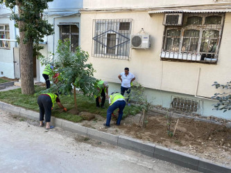 Asif Məhərrəmov 64, 20 yanvar 4/66 saylı binalarda abadlıq-quruculuq işləri davam etməkdədir.