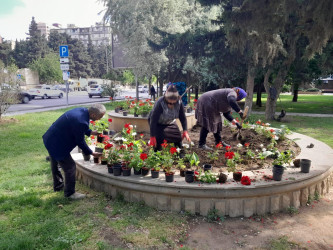 Ümummilli Lider Heydər Əliyevin anadan olmasının 101 illiyi ilə əlaqədar,  “Yaşıl dünya naminə həmrəylik ili” çərçivəsində ağacəkmə aksiyası keçirilib