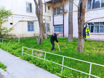 Rayon ərazisində yaşıllıqlara qulluq göstərilib.