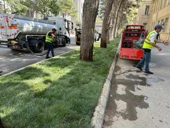 Rayonun Zərifə Əliyeva küçəsi boyu yaşıllıq zolaqlarına qulluq göstərilmiş və mövsümi güllər əkilmişdir.