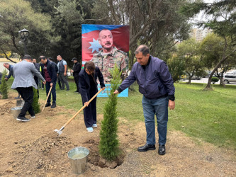Nəsimi rayonunda Anım Günü ərəfəsində ağacəkmə aksiyası keçirilib.