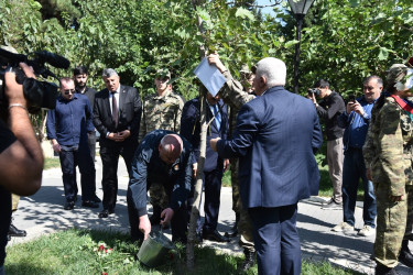 Nəsimi rayonunda 27 Sentyabr - Anım günü münasibətilə  rayon ərazisində yerləşən “Zəfər bağı”nda tədbir keçirilib.