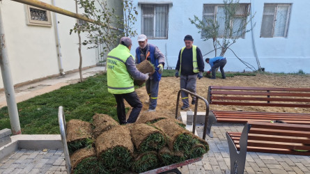 Nəsimi rayonunda yaşıllaşdırma tədbirləri keçirilib.