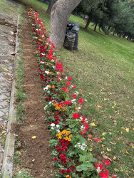 Nəsimi rayonunda başlanılmış abadlıq və təmir-bərpa işləri davam etdirilir.
