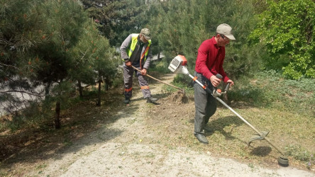 Nəsimi rayonunda növbəti iməcilik keçirilib.