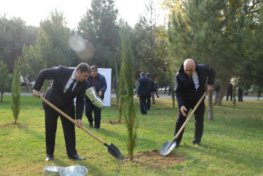 Nəsimi rayonunda Zəfər Günü münasibəti ilə ağacəkmə aksiyası keçirilib.