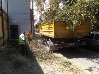 Nəsimi rayonunda sanitar təmizlik işləri aparıldı.