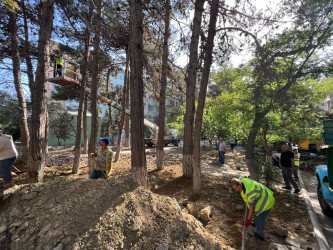 Cavadxan küçəsi 26,30 saylı ünvanlarda abadlıq-quruculuq işləri davam edir.