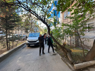 Asif Məhərrəmov 33 saylı binada yenidənqurma və abadlıq işləri davam edir.