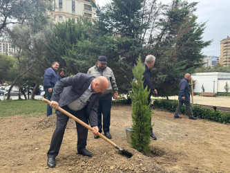 Nəsimi rayonunda Anım Günü ərəfəsində ağacəkmə aksiyası keçirilib.