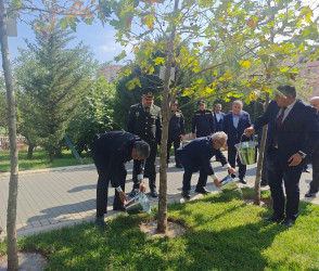 Nəsimi rayonunda Anım Günü ilə bağlı silsilə tədbirlər keçirilib.