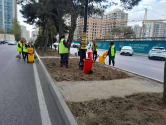 Nəsimi rayonunda növbəti iməcilik keçirilib