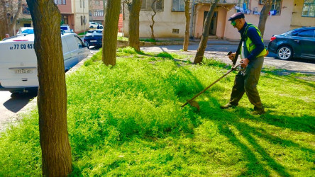Nəsimi rayonunda növbəti ümumrayon iməciliyi keçirilib.