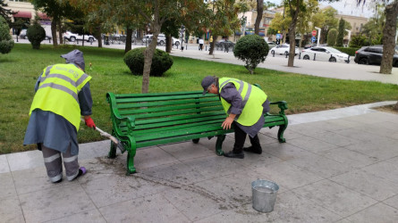 Nəsimi rayonunda növbəti iməcilik təşkil olunub.