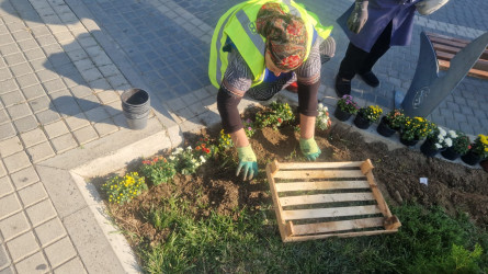 Zəfər bağında cari təmir işləri aparılıb