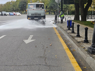 Nəsimi rayonunda növbəti iməcilik keçirilib