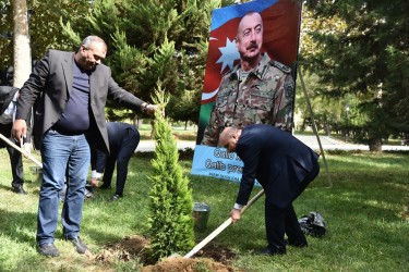 Nəsimi rayonunda 27 sentyabr - Anım günü münasibətilə ağacəkmə aksiyası keçirilib